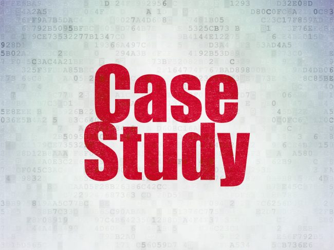 CEO's Right Hand Client Case Study