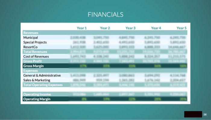Example financials slide for a pitch deck.