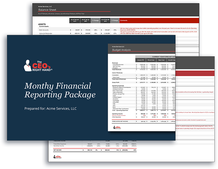 What Does Financial Reporting Package Mean