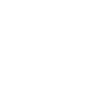 Bonsai Logo