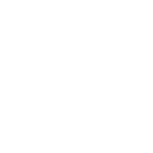 TruED Consulting