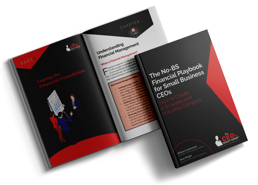 The No-BS Financial Playbook for Small Business CEOs Books The No-BS Financial Playbook for Small Business CEOs Books